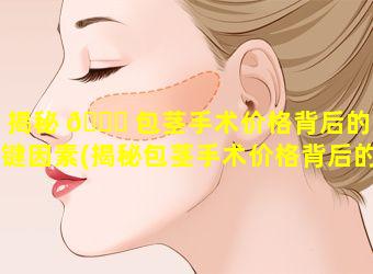 揭秘 💐 包茎手术价格背后的关键因素(揭秘包茎手术价格背后的关键因素有哪些)